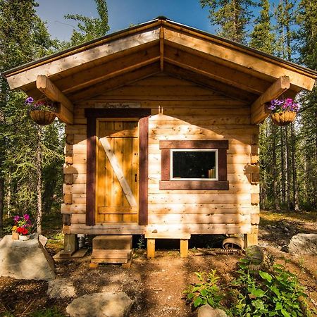 Blackburn Cabins - Mccarthy, Alaska Luaran gambar