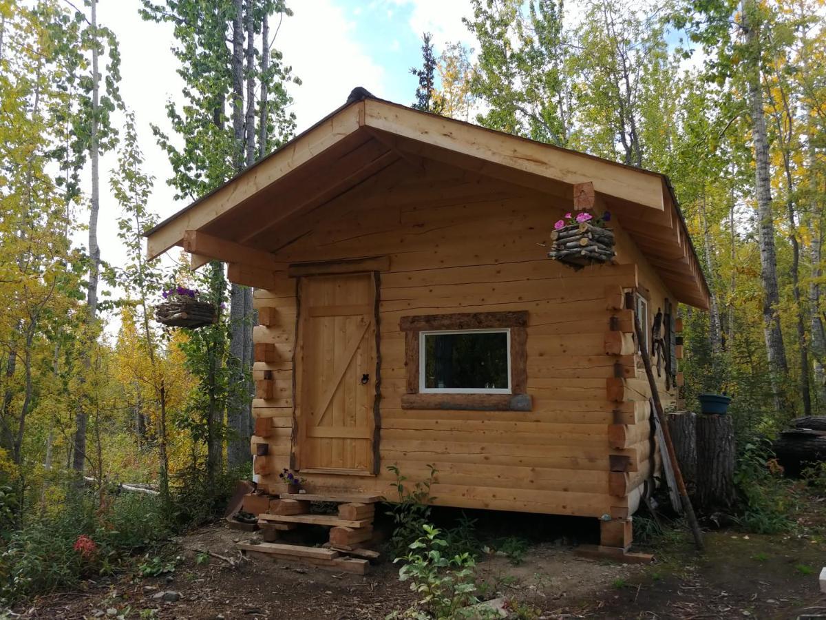 Blackburn Cabins - Mccarthy, Alaska Luaran gambar