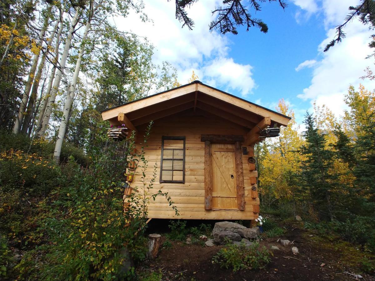 Blackburn Cabins - Mccarthy, Alaska Luaran gambar