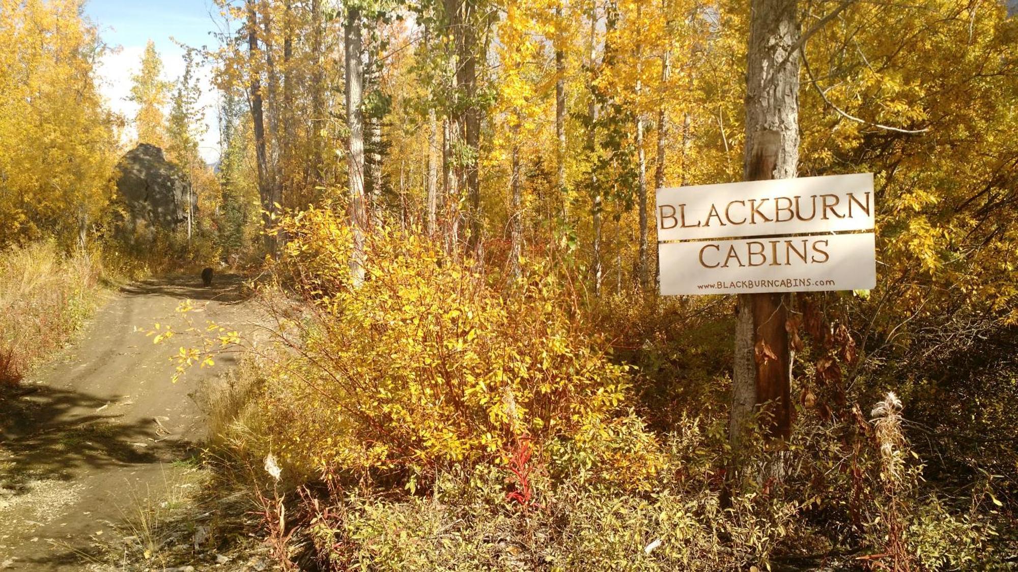 Blackburn Cabins - Mccarthy, Alaska Luaran gambar